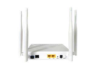 1GE+1FE+1POTS+WIFI(2.4Ghz & 5Ghz)